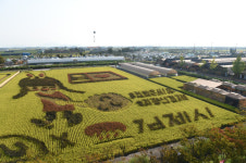 전북은 축제중