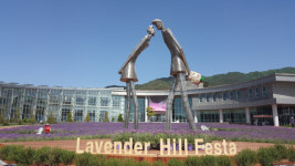 남원은 지금, 가을핑크 사랑중