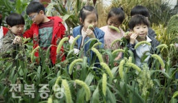 곡식의 오감만족