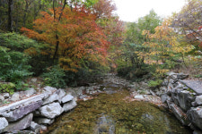 깊고 진한 가을향이 물씬 장안산 마실길을 걷다