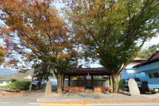 깊고 진한 가을향이 물씬 장안산 마실길을 걷다