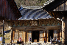 변산 바람꽃, 부안의 봄 소식 전해요
