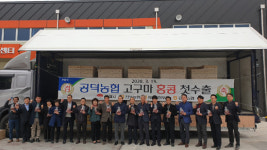 전북농협 고구마 홍콩 첫 수출길 올라