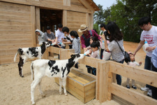 고창군-상하농원 농촌관광 새 지평 연다