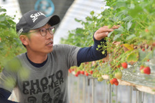순창서 만난 딸기, 새 인생을 선물하다
