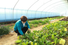 농토피아 완주, 청년 농업인 희망을 열다