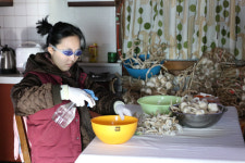 전주영상위 제작지원작