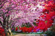 완산공원 꽃동산 출입통제··· 코로나로 12일부터