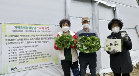 장수 新효자작물 머위 전국 소비자 입맛 잡다