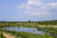 반려견과 함께 걷는 안심걷기길 명소