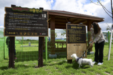 반려견과 함께 걷는 안심걷기길 명소