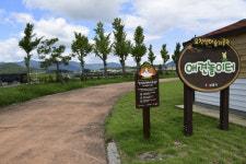 반려견과 함께 걷는 안심걷기길 명소