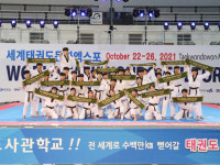 세계태권도문화엑스포 열기 후끈