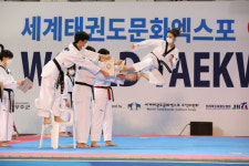 세계태권도엑스포 대성황속 막내려
