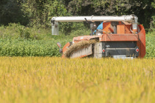 비료 품절 내년농사 어쩌나