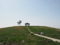 반려동물, 김제선 눈치보지마시개!