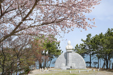 당일치기 힐링 만끽 위도의 봄 여행