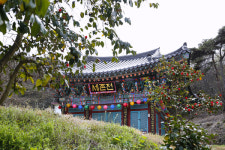 당일치기 힐링 만끽 위도의 봄 여행