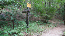 전북만의 색다른 힐링 걷기 미륵산 둘레길