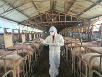 왕궁 학호마을 축사매입 본격··· 악취해결 속도전