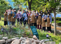 서신동, 서신길-서일공원-가로수 정원 정비
