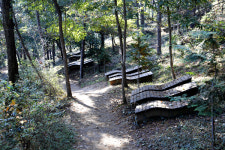 가을 오색풍경 느끼며 사부작 걸어볼까?