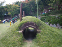 보고 만지고 느끼고··· 아이들 숲에서 맘껏 뛰논다