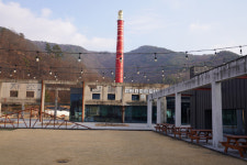 문화-자연이 공존하는 숲속의 아지트