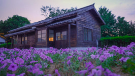 시간이 멈춘 폐역 기차 다시 볼 수 있을까