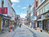 젊음의 거리 솜리트레일 중앙동 걷다