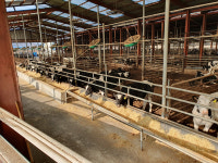 남원시, 축산농가 사료구매 융자금 60억원 65개 농장에 배정