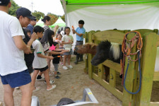 착한가격 장수 한우랑 사과랑 축제 성료