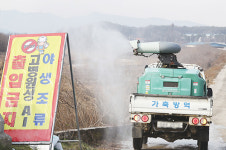AI 덮친 전북, 양계산업 초토화