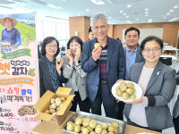 전북우정청, 동진수미감자 소비촉진에 앞장