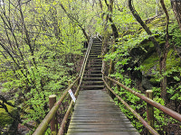 싱그러운 숲길, 경쾌한 계곡물소리 지리산 계곡에 봄이 왔어요~