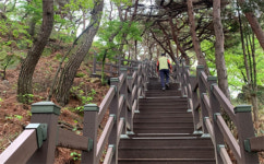 푸름 한가득 머금은 杯山 살랑살랑 동네 한바퀴