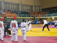 고창군, 한국여성태권도연맹 회장기 전국 태권도대회 개최