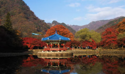 내장산국립공원 단풍철 손님맞이 준비 완료