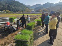 장수 번암면, 양파 식재 농가 현장방문 진행