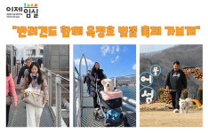 반려견과 함께하는 특별한 임실 옥정호 벚꽃축제