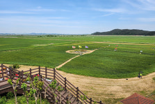 진봉 새만금 보리밭 축제 푸른 보리밭 사잇길 걸어볼까