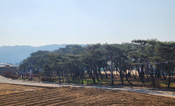 숨기좋은 모지설망에 소백산 줄기 흐르는 명당