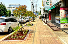 군산 백토로, 사계절이 푸른 녹색정원 대변신