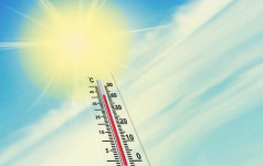 뙤약볕 아래 농작업 냉수-그늘-휴식 꼭 지키세요