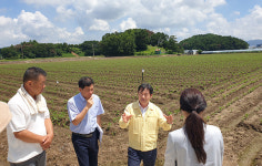 농진청, 논콩 집중호우 피해 지역 병해충 기술지원