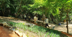 전북형 산림복지 치유의 숲 확충