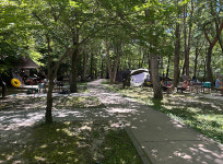 감성 맛보고 휴식 취하고 자연에서 다 누려봐!