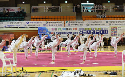 고창군 대학태권도연맹회장기 전국대회 4일까지 열려