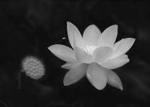 41번째 빛 11개의 시선··· 전북의 역사-문화유산 담아내