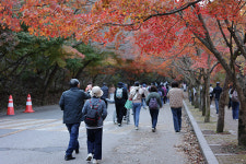 단풍철 들뜬 산행에 산악사고 껑충 부주의 주의